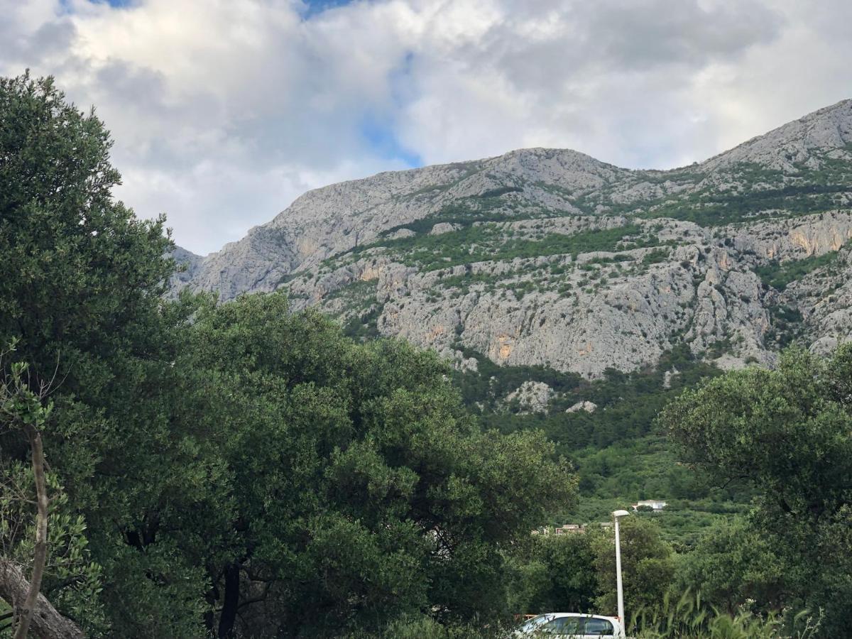 Apartment Flora Makarska Exterior photo